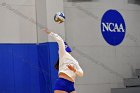 Volleyball vs RWU  Wheaton Women’s Volleyball vs Roger Williams University. : Volleyball, VB